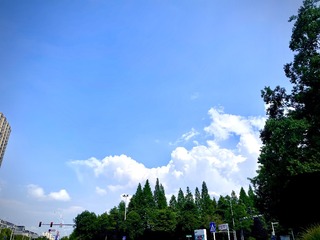 B5FE65D1-46F6-4FD2-8CC0-CD7B78737D35/L0/001