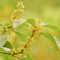 7D6FF6F0-B8E8-461B-94AC-872363B7FF37/L0/001