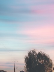 363634