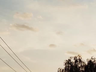 363635