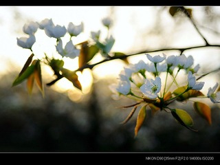 DSC_0042.jpg