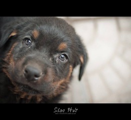 DSC_0595.jpg