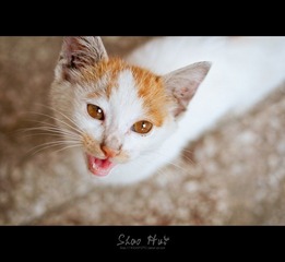 DSC_0764.jpg