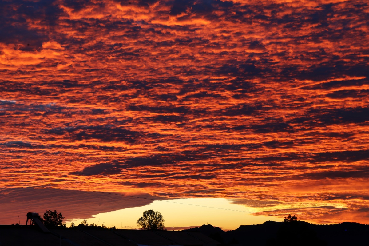 黎明破晓朝阳如血