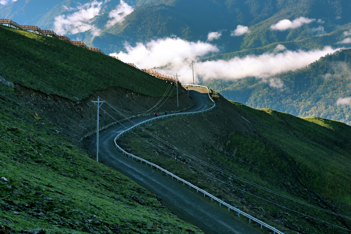 上山的路蜿蜒曲折
