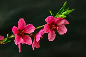 104138