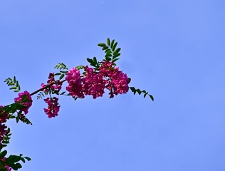 108973