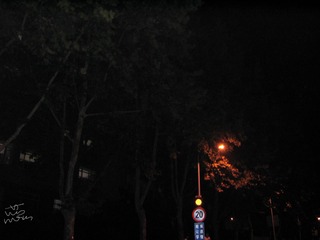 CEBF9E48-3699-4786-A932-9A32DA33E851/L0/001