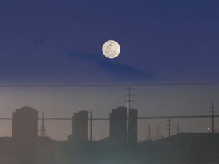 103021