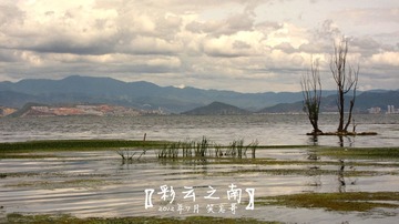 IMG_2658z.jpg