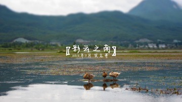 IMG_3438z.jpg