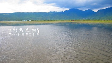 IMG_3471z.jpg