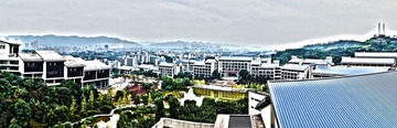 学校全景图.jpg