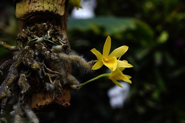 _DSC3333A.jpg