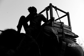 L1002266-11.jpg