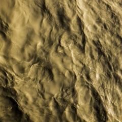 L1003456-1