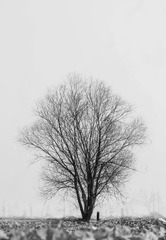 L1003724