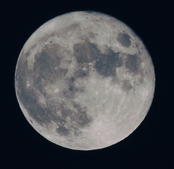 E168AF6A-0C22-47F8-8106-2B196283C9A9/L0/001