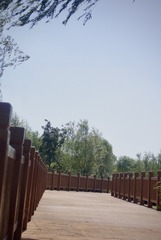 E1E3CAA3-9097-4F93-98EA-12073F0C50AF/L0/001