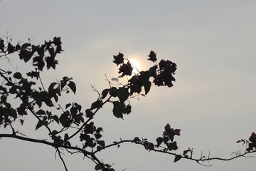 _MG_6391.JPG