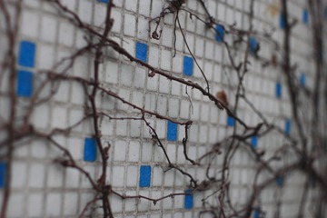 _MG_6397.JPG