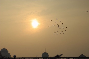 _MG_6403.JPG