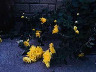 8416A57F-87A5-4A96-B4EA-A0026249AFE5/L0/001