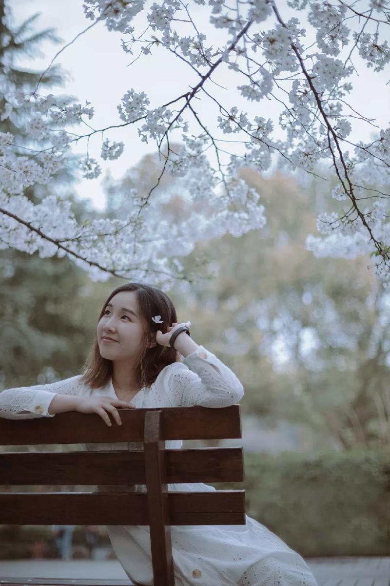 樱花下有个姑娘