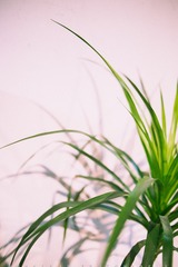 KT8A3298