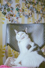 WXcwTFQvQkZyTkhCT2o3K2JyVm04MGVjVUpQbk9iK0dIY09uMk1qeUI0RzVzVGFSeGw0WFBRPT0