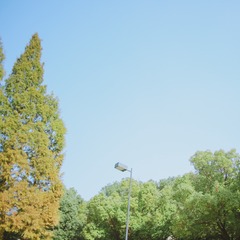 KT8A6304
