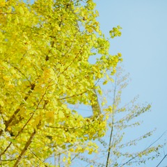 KT8A6311