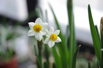 IMGP4592.JPG