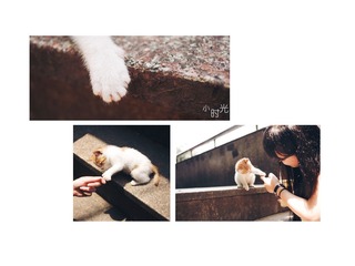 IMGP7002_副本.jpg
