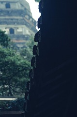 5164EE4F-E250-4898-9369-866FAA2DF181/L0/001