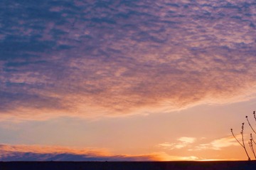 B621188D-6F66-4799-A4C3-412D9B7E4107/L0/001