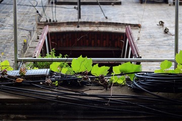 DSC_0408.jpg