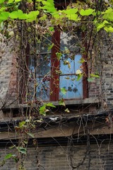 DSC_0411.jpg