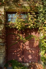 DSC_1009.jpg