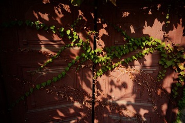 DSC_1011.jpg