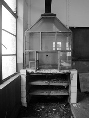 DSC_1115.jpg
