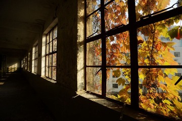 DSC_1176.jpg