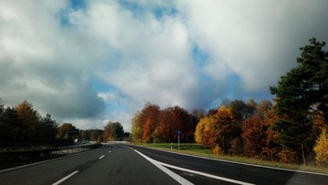 20121105_115029.jpg