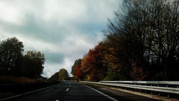 20121105_115037.jpg