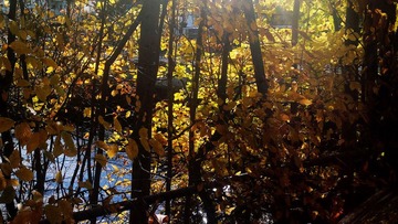 20121105_125120.jpg