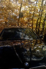 20121105_125238.jpg