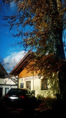 20121105_132943.jpg