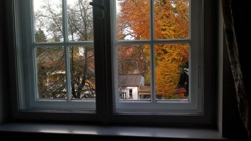 20121105_152320.jpg