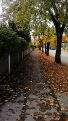 20121105_152741.jpg