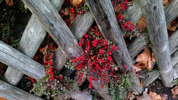 20121105_153746.jpg